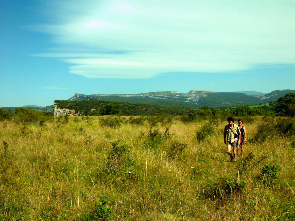 Caminando por el Castro