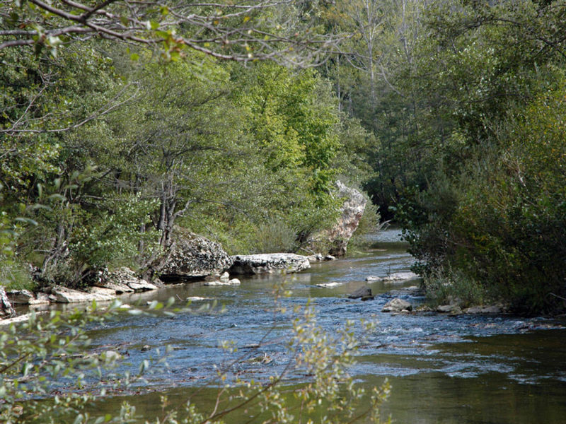 Un meandro en el río Nela